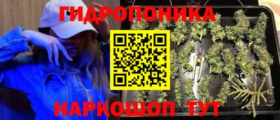 дживик Анапа
